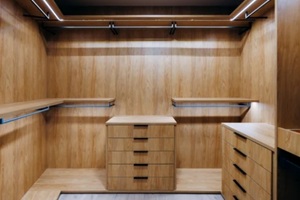 luxurious dressing room featuring custom shelving and refined finishes